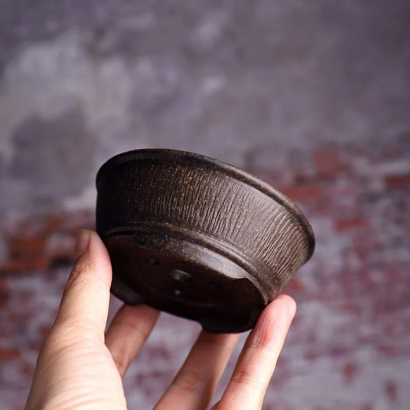 Bonsai Vertical Garden - Ceramic Circle Bowl Bonsai Pot Hand