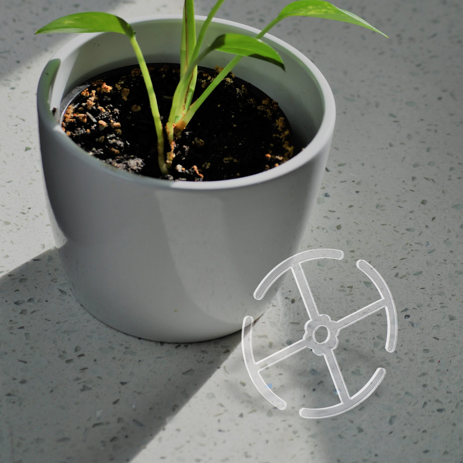 4Pcs Acrylic Stem Support Hold - Bonsai Vertical Garden 评论和价格