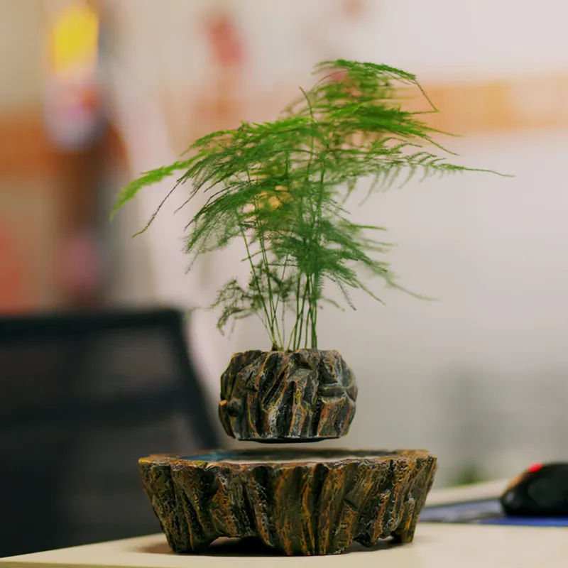 for HCNT Electric Magnetic Lev - Bonsai Vertical Garden 评论和价格