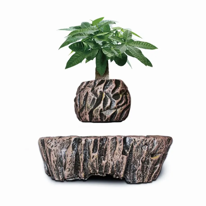 for HCNT Electric Magnetic Lev - Bonsai Vertical Garden 评论和价格