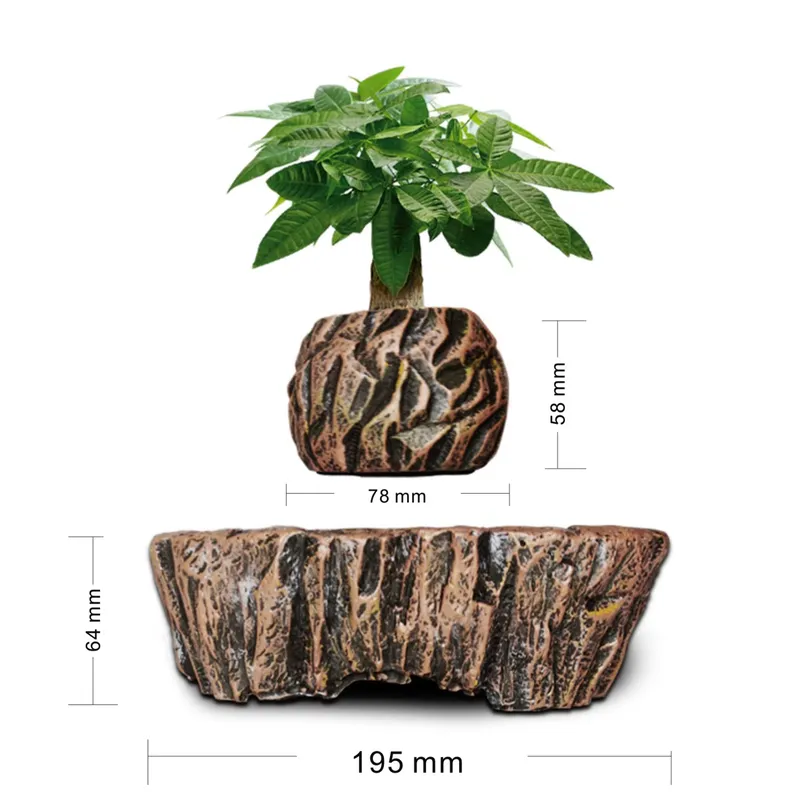 for HCNT Electric Magnetic Lev - Bonsai Vertical Garden 评论和价格