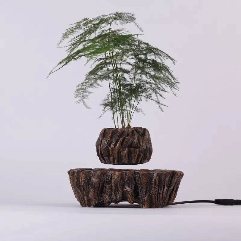 for HCNT Electric Magnetic Lev - Bonsai Vertical Garden 评论和价格