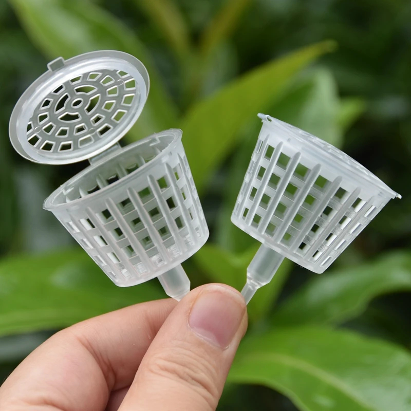 20/50Pcs Fertilizer Basket Wit - Bonsai Garden Of Ct 评论和价格