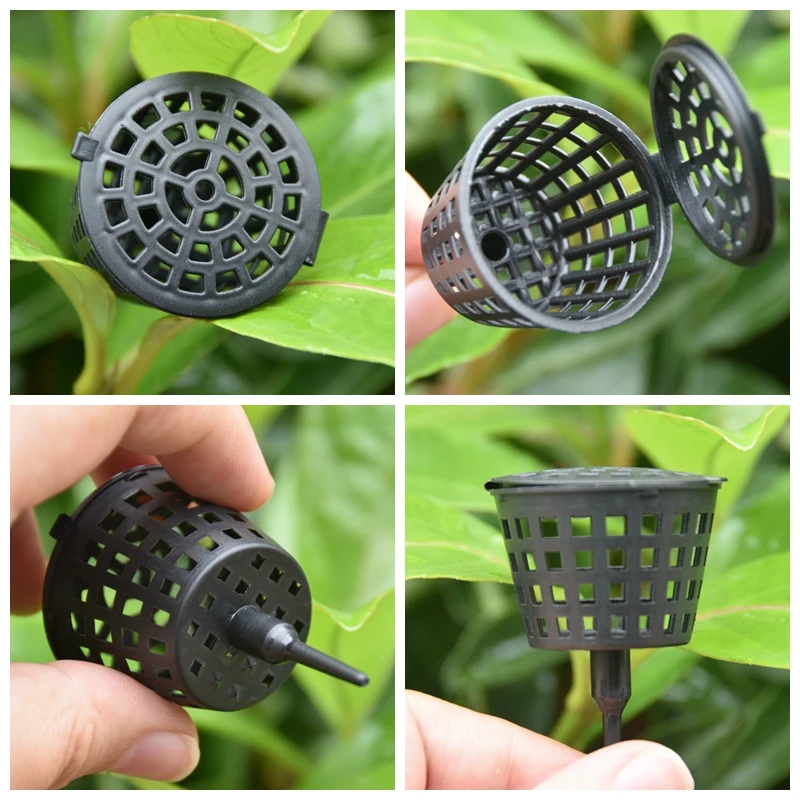 20/50Pcs Fertilizer Basket Wit - Bonsai Garden Of Ct 评论和价格