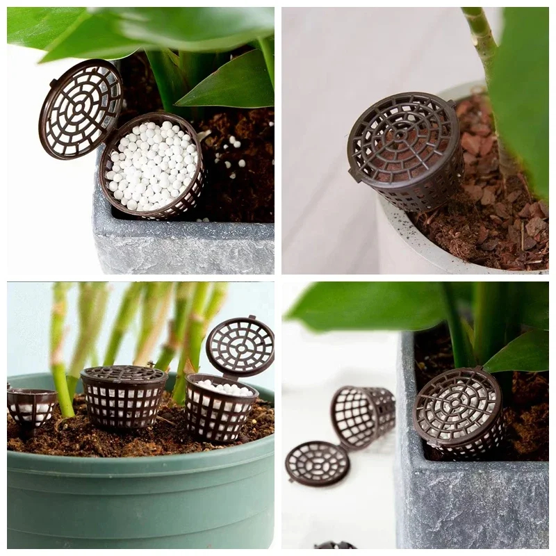 20/50Pcs Fertilizer Basket Wit - Bonsai Garden Of Ct 评论和价格