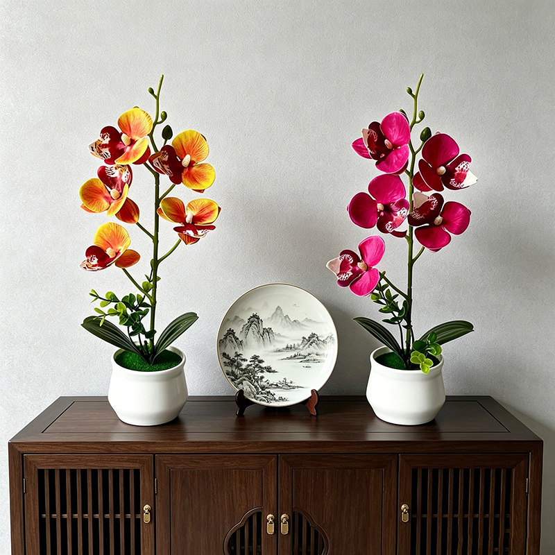 5 Flower Butterfly Orchid Simu - Bonsai Garden Layout 评论和价格