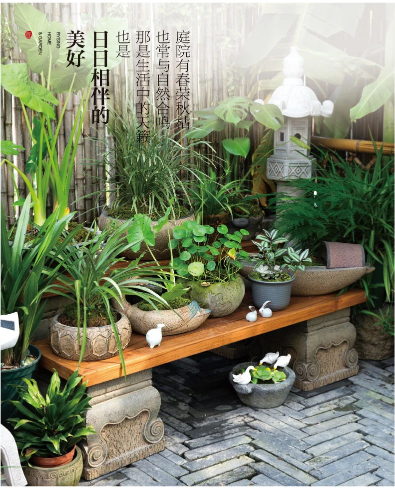 Terrace Garden Layout, Teak Ch - Bonsai Garden Layout 评论和价格
