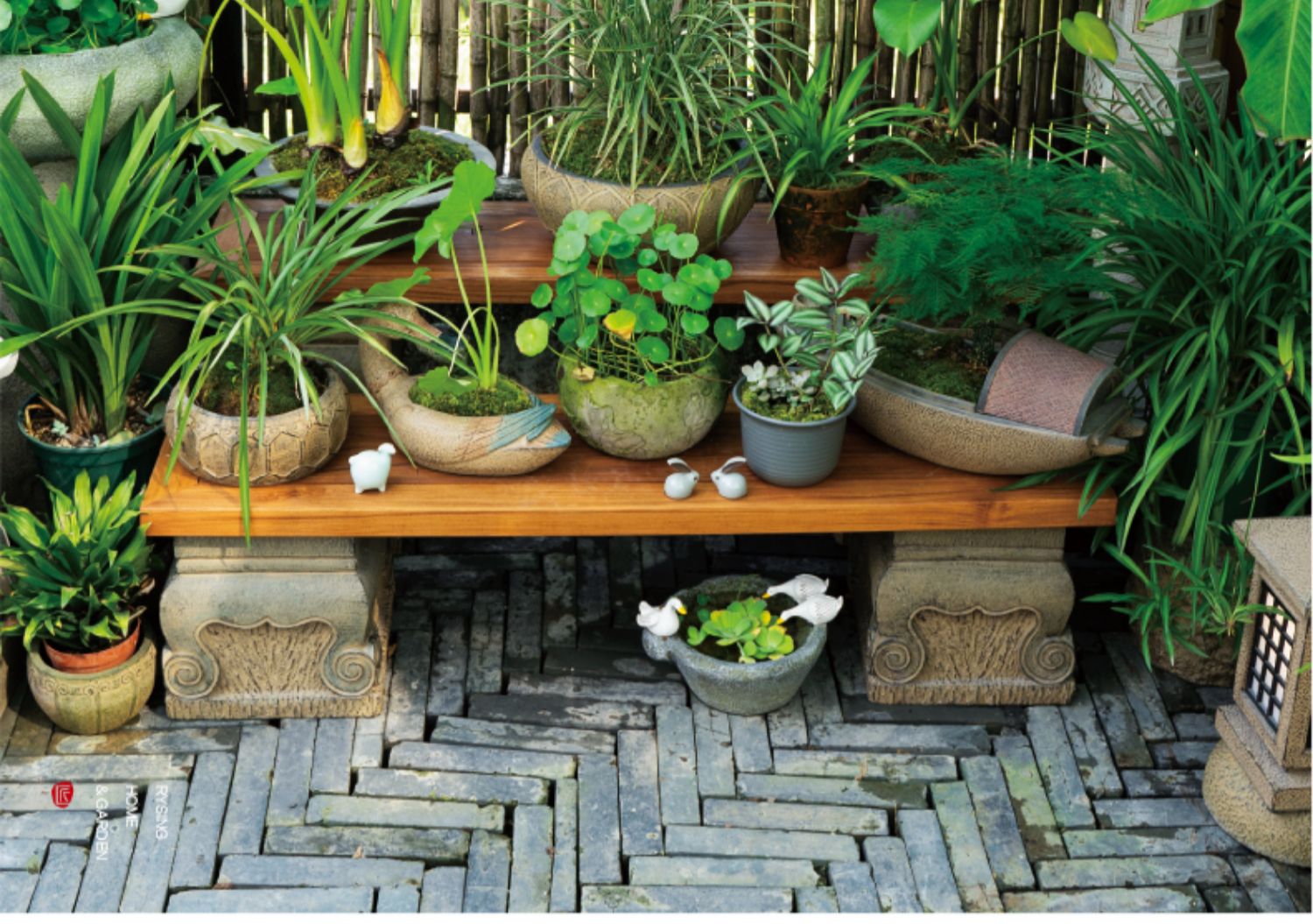 Terrace Garden Layout, Teak Ch - Bonsai Garden Layout 评论和价格