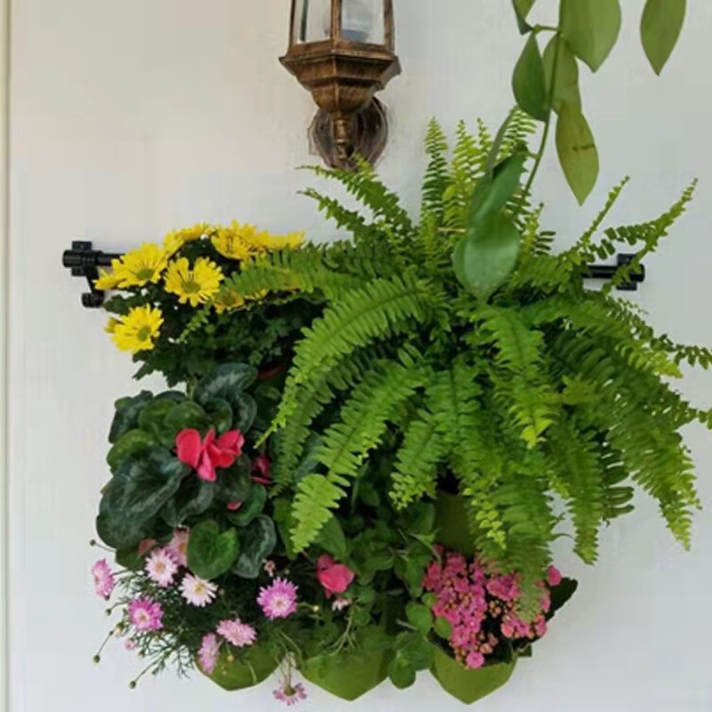 Wall Hanging Planting Bag Mult - Bonsai Vertical Garden 评论和价格
