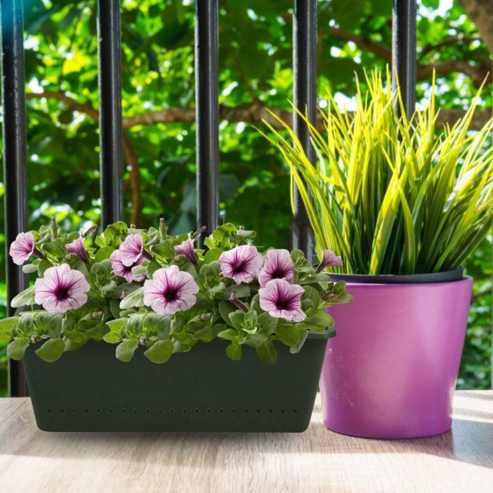 1/3PCS Planting Box, Wall Hang - Bonsai Vertical Garden 评论和价格