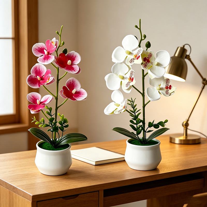Big 5 Butterfly Orchid Simulat - Bonsai Garden Layout 评论和价格