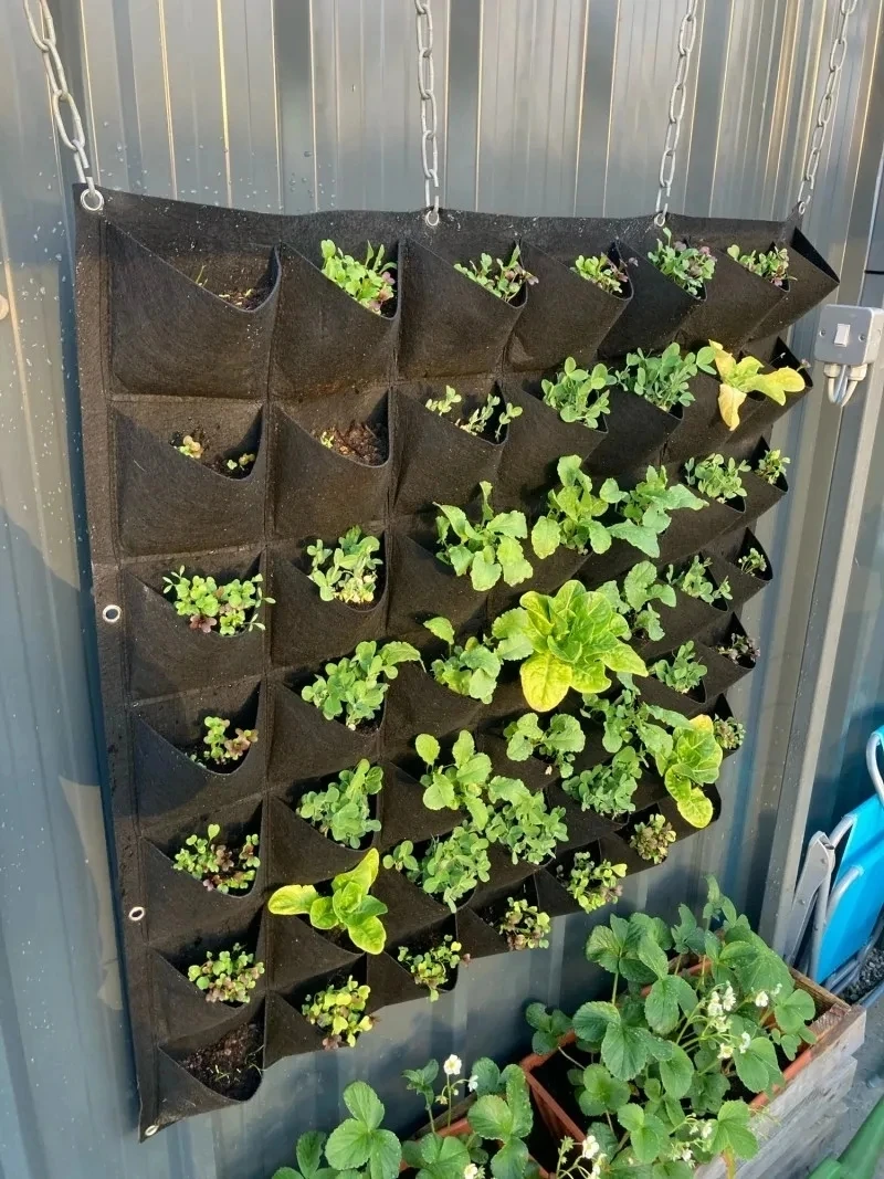 yesWall Hanging Planting Bag M - Bonsai Vertical Garden 评论和价格