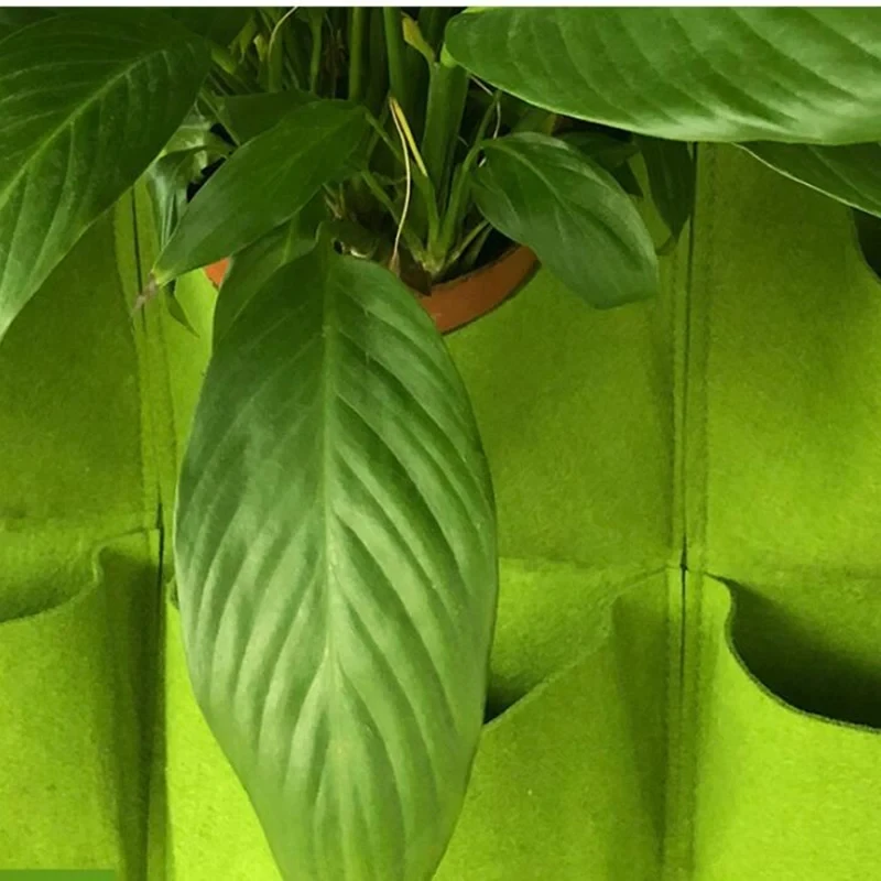 yesWall Hanging Planting Bag M - Bonsai Vertical Garden 评论和价格