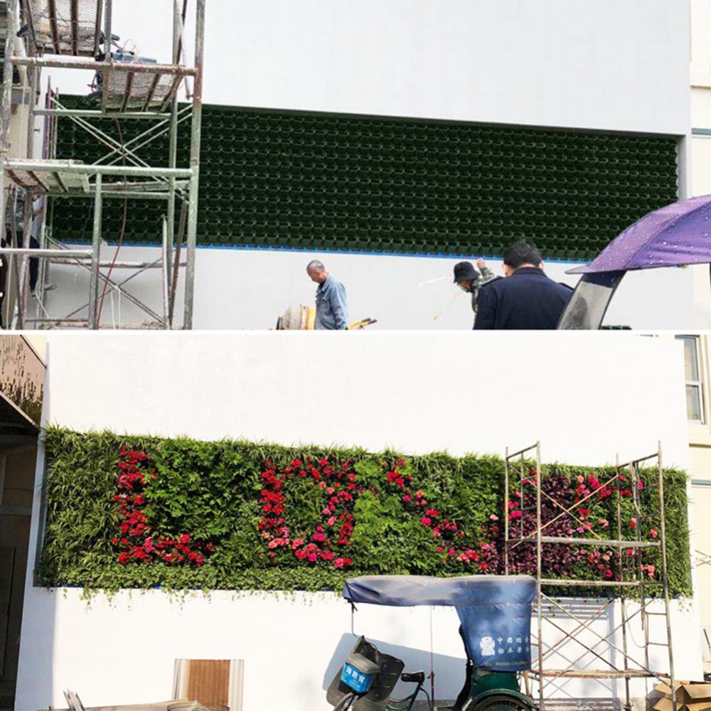 Wall Mounted Forest Box Multi  - Bonsai Vertical Garden 评论和价格