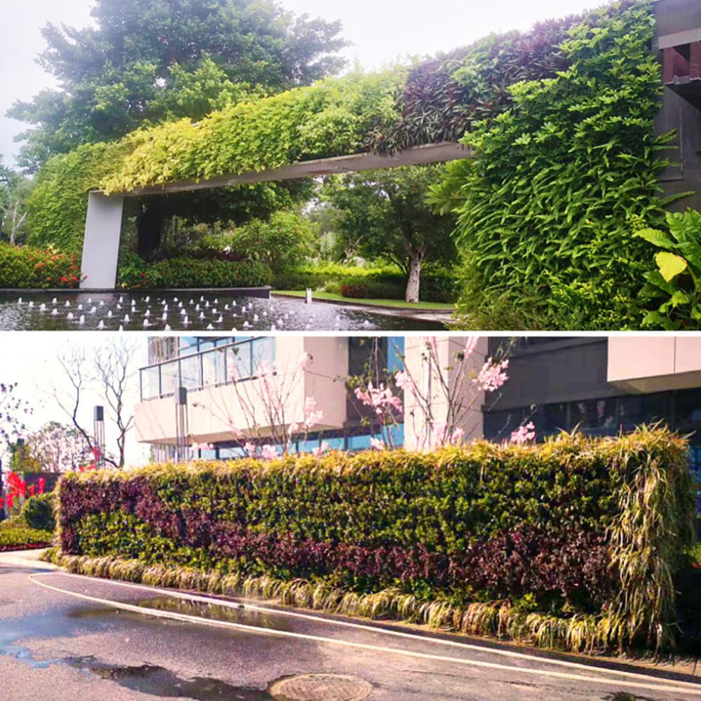 Wall Mounted Forest Box Multi  - Bonsai Vertical Garden 评论和价格